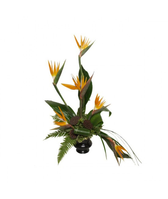 The bouquet flight of the paradise